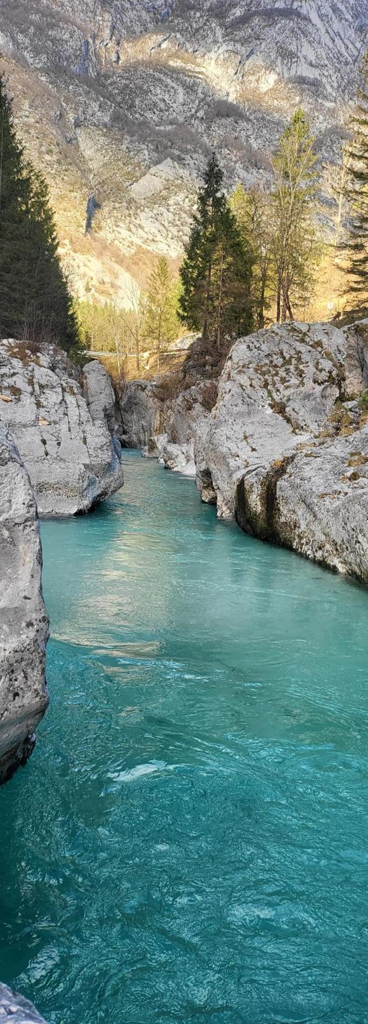 Alfa Appartamento In Centro Gorizia Dış mekan fotoğraf